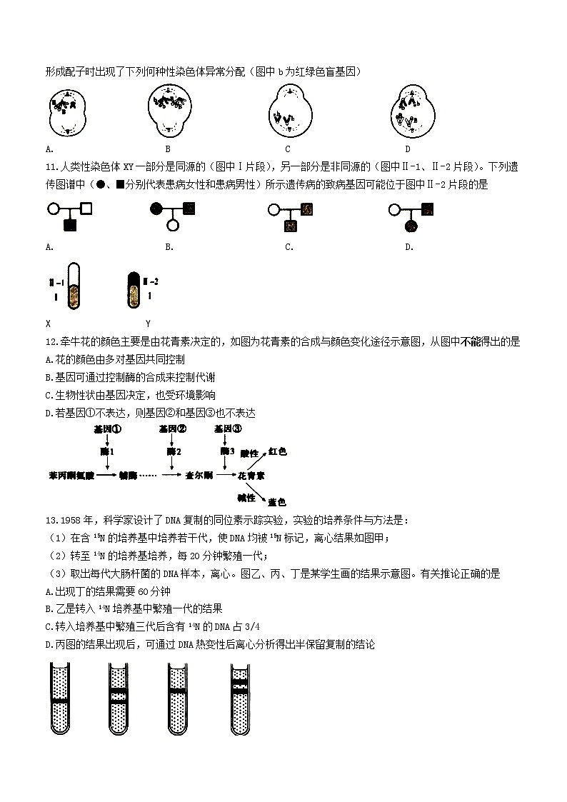 2020-2021学年江苏省宿迁市高一下学期期末考试生物试题03