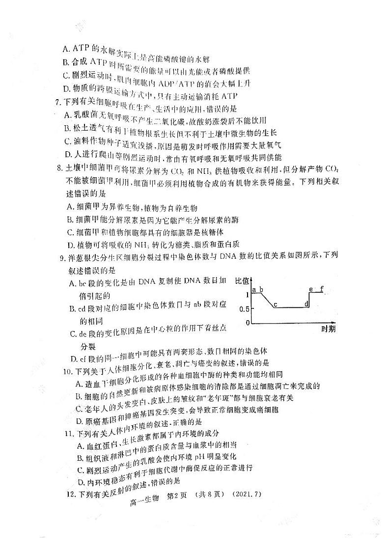 2021年洛阳市高一期末质量检测生物试卷及答案2021.07第2页
