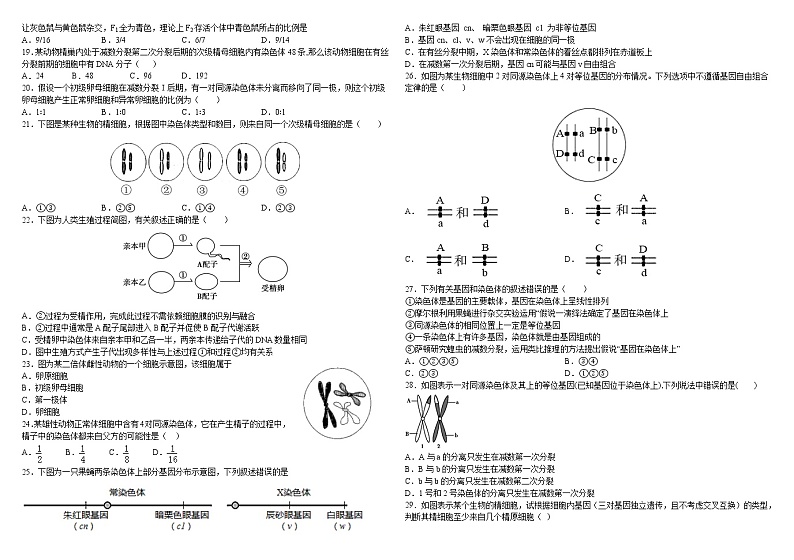 2020-2021学年江西省南昌市八一中学高一下学期期末考试生物试题02