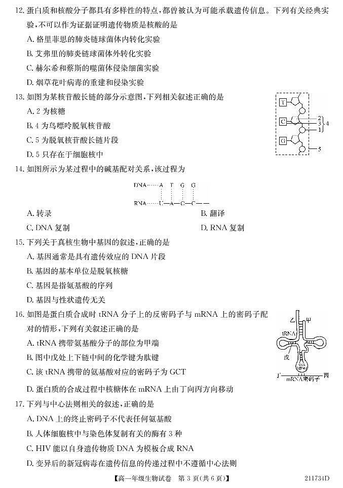 2020-2021学年安徽省合肥市六校联盟高一下学期期末联考生物试题 PDF版第3页