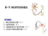 1 2.1 神经调节的结构基础 课件(共27张PPT)