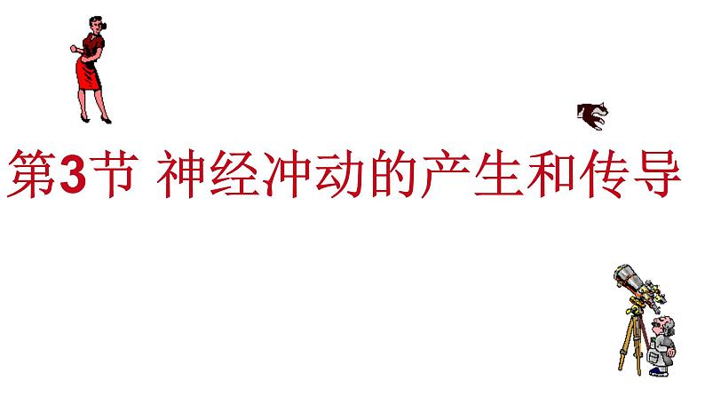 1 2.3 神经冲动的产生和传导 课件(共45张PPT)第2页