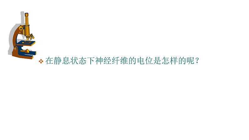 1 2.3 神经冲动的产生和传导 课件(共45张PPT)第6页