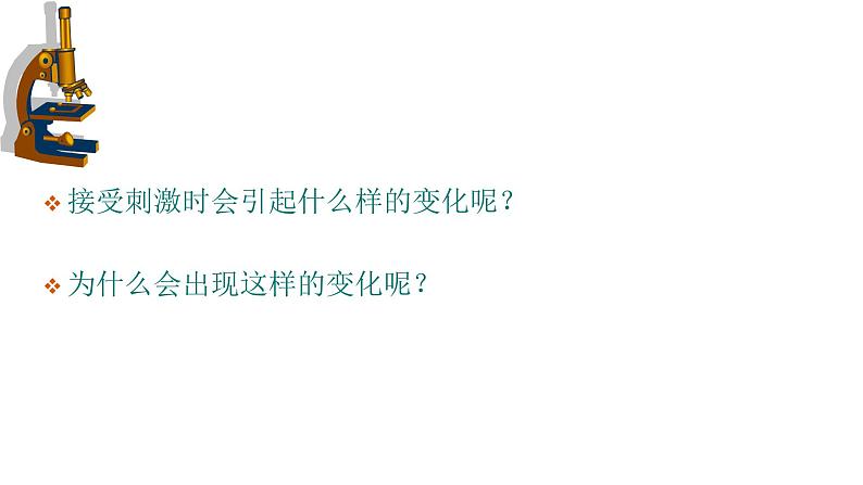 1 2.3 神经冲动的产生和传导 课件(共45张PPT)第8页