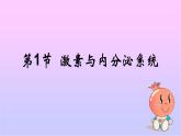 1 3.1 激素与内分泌系统 课件(共52张PPT)