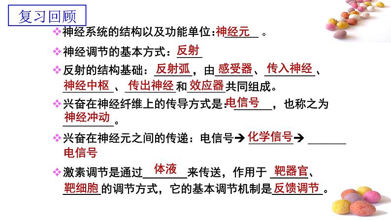 1 3.3 体液调节与神经调节的关系 课件(共52张PPT)01