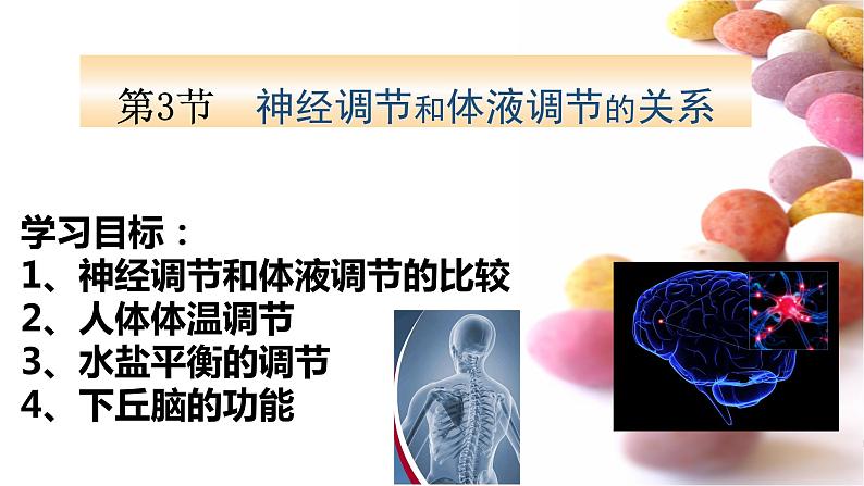 1 3.3 体液调节与神经调节的关系 课件(共52张PPT)03