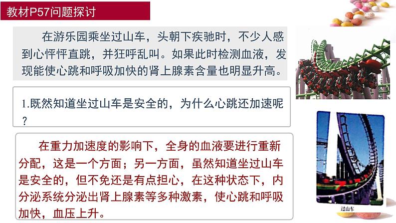 1 3.3 体液调节与神经调节的关系 课件(共52张PPT)04