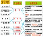 1 3.2 激素调节的过程 课件(共53张PPT)