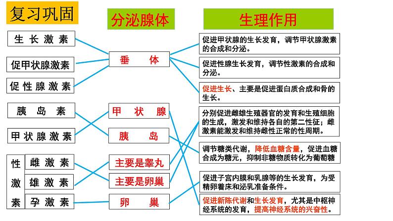 1 3.2 激素调节的过程 课件(共53张PPT)第1页