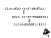 1 3.2 激素调节的过程 课件(共53张PPT)