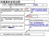 1 5.2 其他植物激素 课件(共22张PPT)