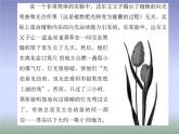 1 5.1 植物生长素 课件(共22张PPT)