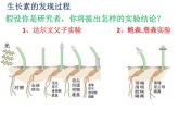 1 5.1 植物生长素 课件(共22张PPT)