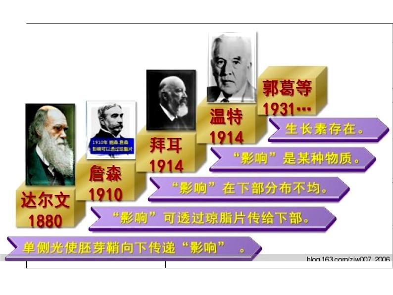 1 5.1 植物生长素 课件(共22张PPT)07