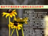 1 5.4 环境因素参与调节植物的生命活动 课件(共13张PPT)