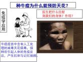 1 4.4 免疫学的应用 课件(共11张PPT)