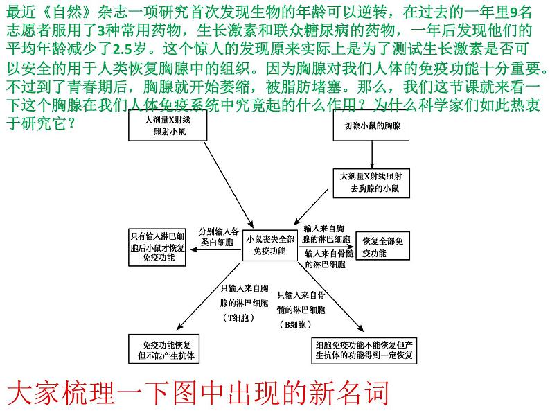 1 4.1 免疫系统的组成和功能 课件(共18张PPT)05