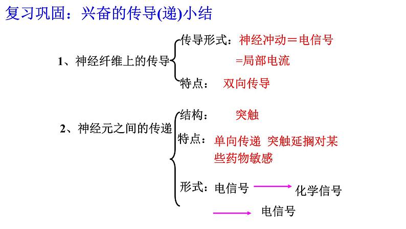 1 2.4 神经系统的分级调节 课件(共24张PPT)01