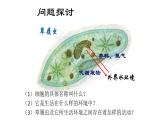 1 1.1 细胞生活的环境  课件(共56张PPT)(1)