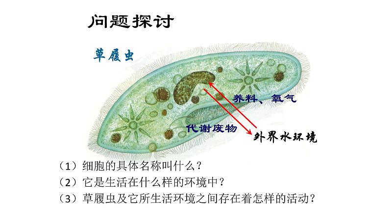 1 1.1 细胞生活的环境  课件(共56张PPT)(1)第3页