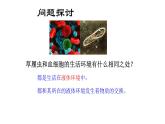 1 1.1 细胞生活的环境  课件(共56张PPT)(1)