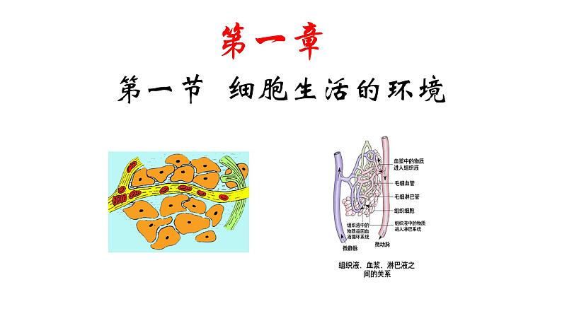 1 1.1 细胞生活的环境  课件(共56张PPT)(1)第6页