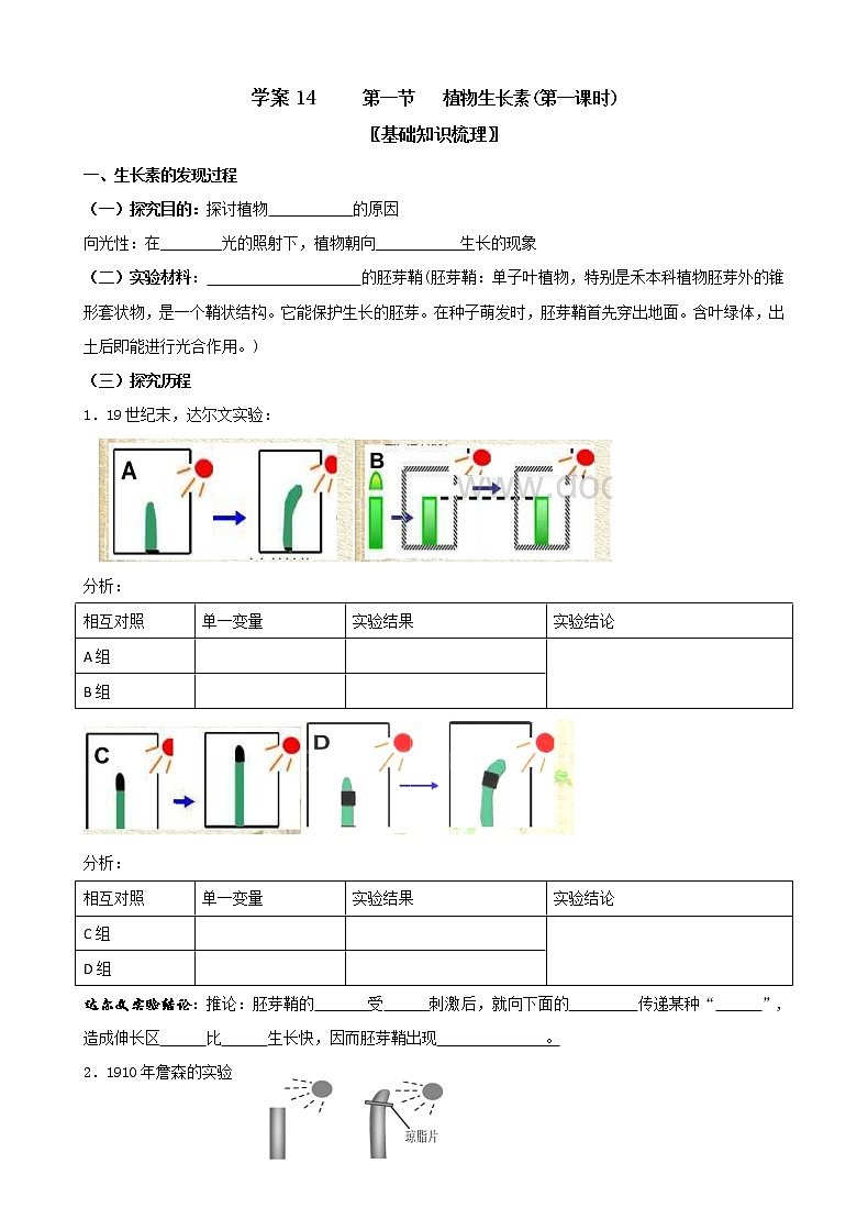 1 5.1 植物生长素 第一课时 学案（含习题答案）01