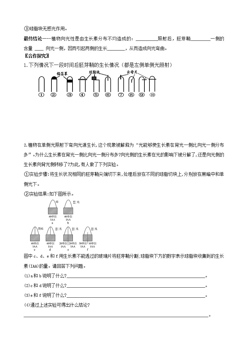 1 5.1 植物生长素 第一课时 学案（含习题答案）03