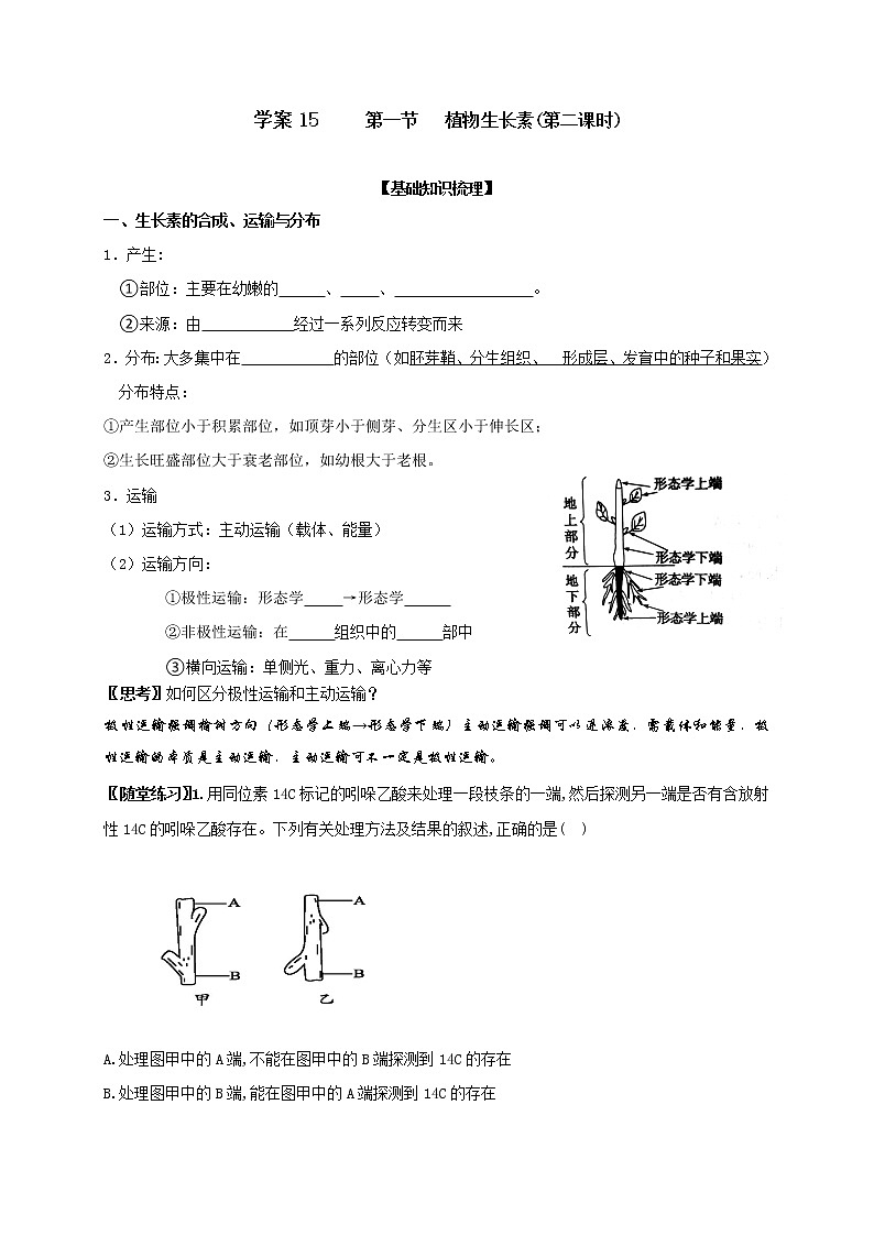 1 5.1 植物生长素 第二课时 学案（含习题答案）01