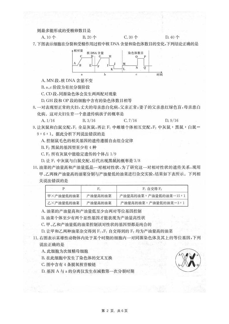 2020-2021学年河南省“顶尖计划”高一下学期期末联考 - 生物试卷PDF版02