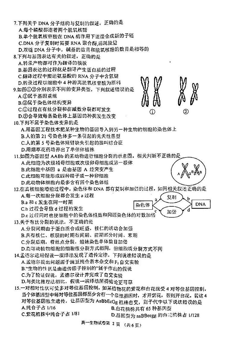 2021年达州市高一期末生物试题及参考答案02