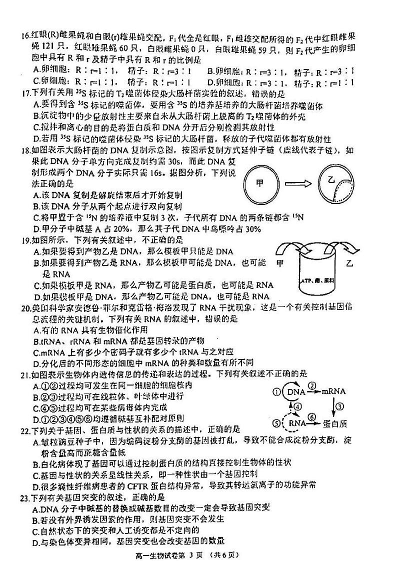 2021年达州市高一期末生物试题及参考答案03