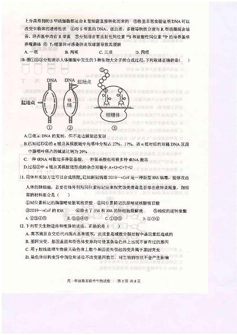 2020-2021学年河南省开封市五县联考高一下学期期末考试生物试题 PDF版03