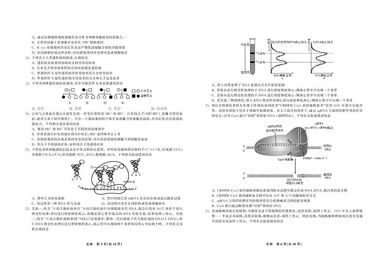 2020-2021学年安徽省合肥市一中、六中、八中高一下学期期末考试生物试题 PDF版03