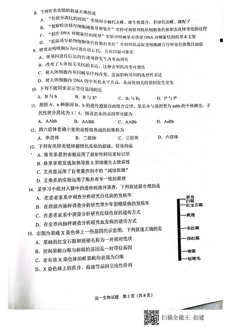 2020-2021学年福建省泉州市高一下学期期末教学质量监测生物试题 PDF版第2页