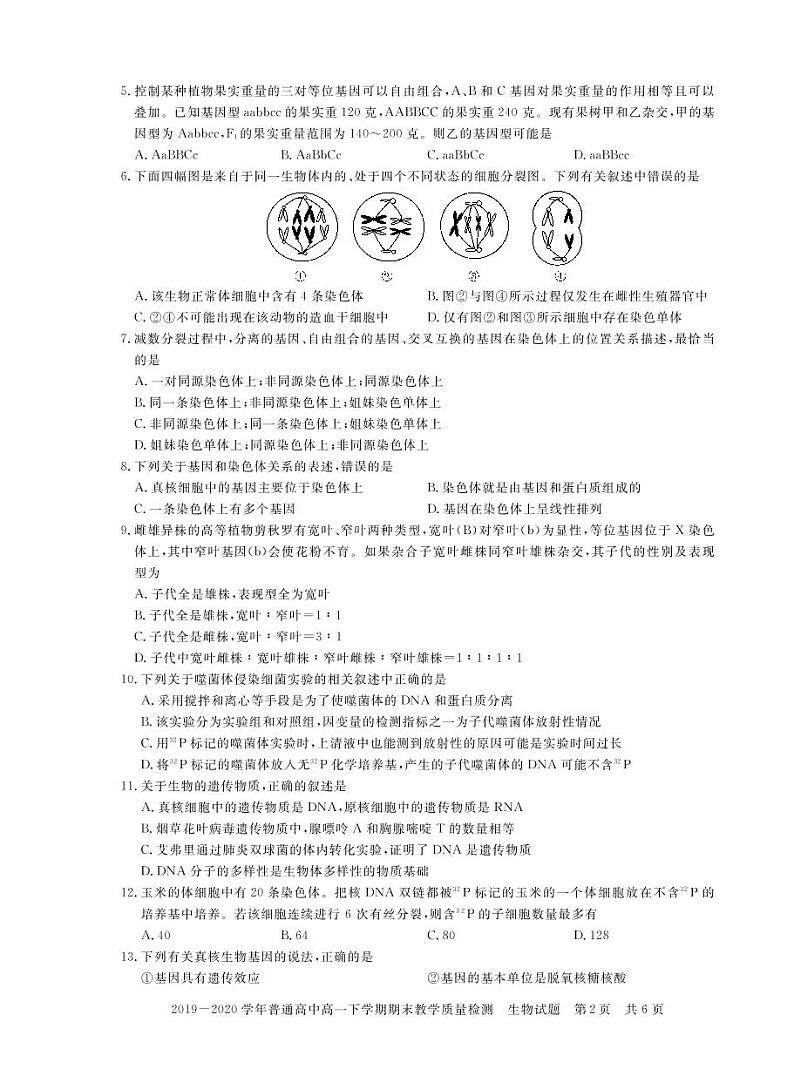2019-2020学年河南省信阳市高一下学期期末教学质量检测生物试题 PDF版02