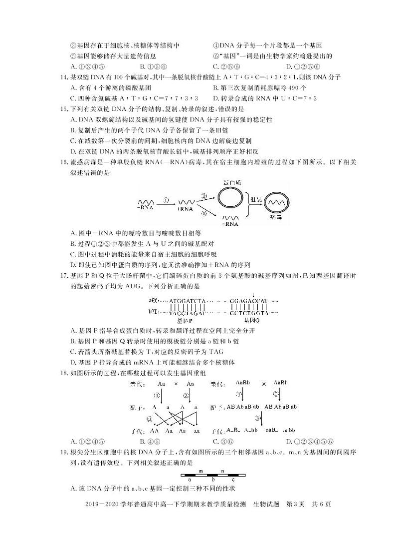2019-2020学年河南省信阳市高一下学期期末教学质量检测生物试题 PDF版03