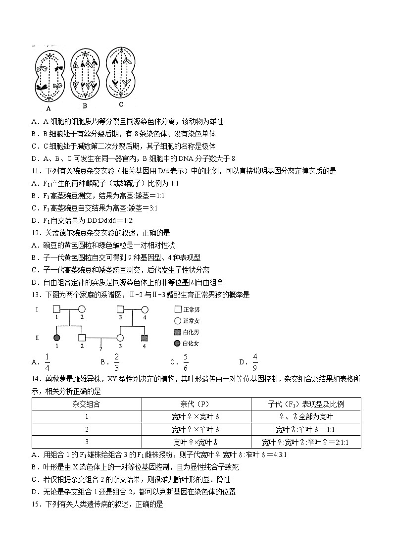 安徽名校联盟2020-2021学年高二下学期期末联考生物试题03