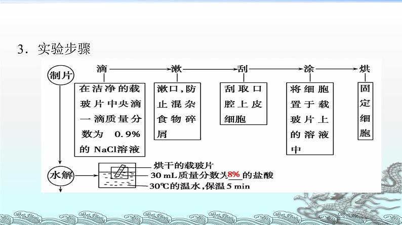 核酸PPT课件免费下载07