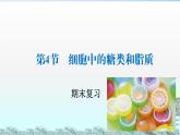 2.4 細胞中的糖類和脂質(zhì) PPT課件