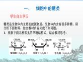 2.4 細胞中的糖類和脂質(zhì) PPT課件