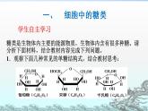 2.4 细胞中的糖类和脂质 PPT课件