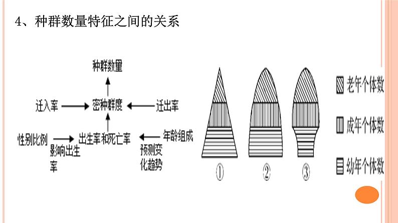 第五单元 种群和群落知识点复习课件PPT第3页