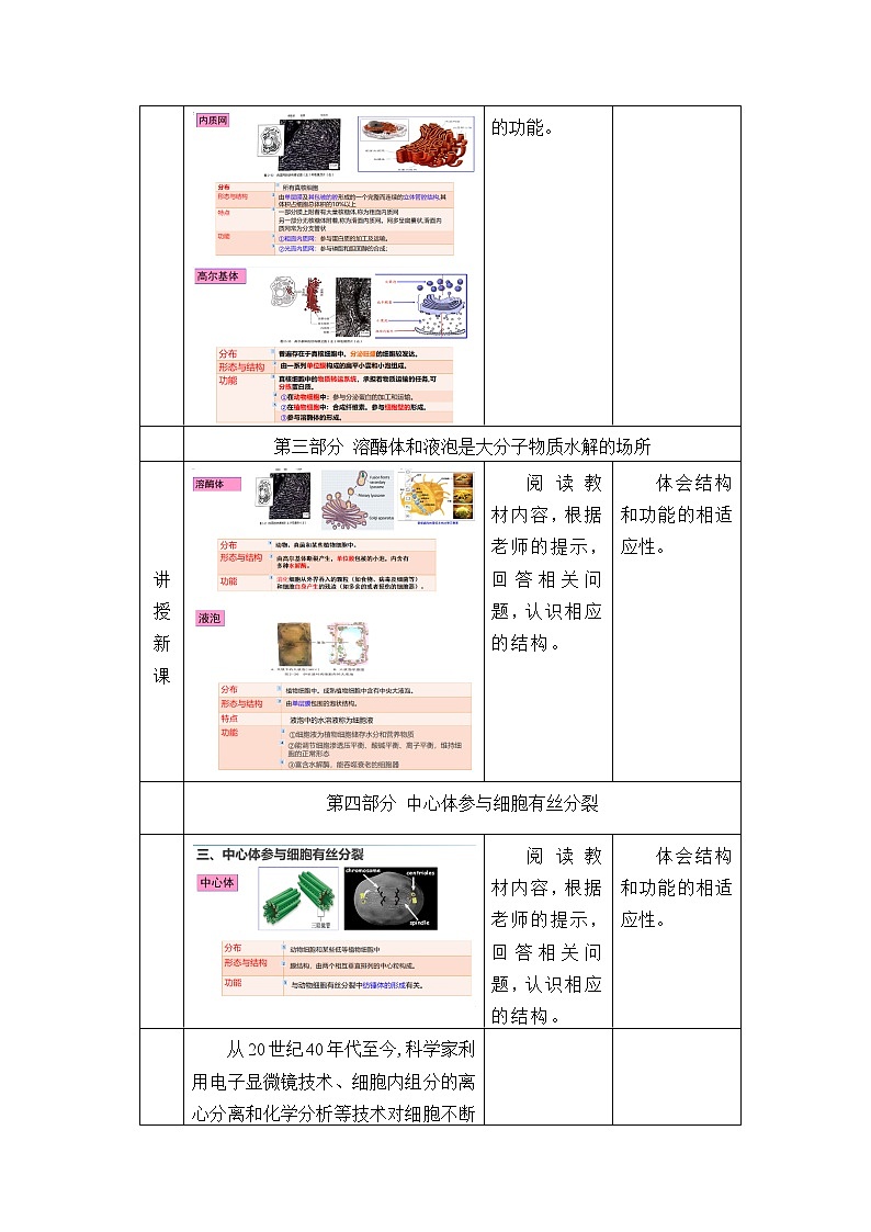 北师大版（2019）高中生物必修一 2.2.2其他细胞器  教案第3页