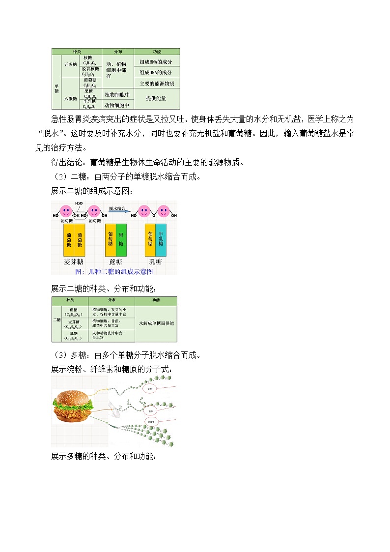 北师大版（2019）高中生物必修一 3.2糖类与脂质  教案02