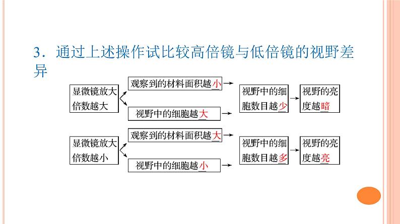 细胞的多样性与统一性PPT课件免费下载08