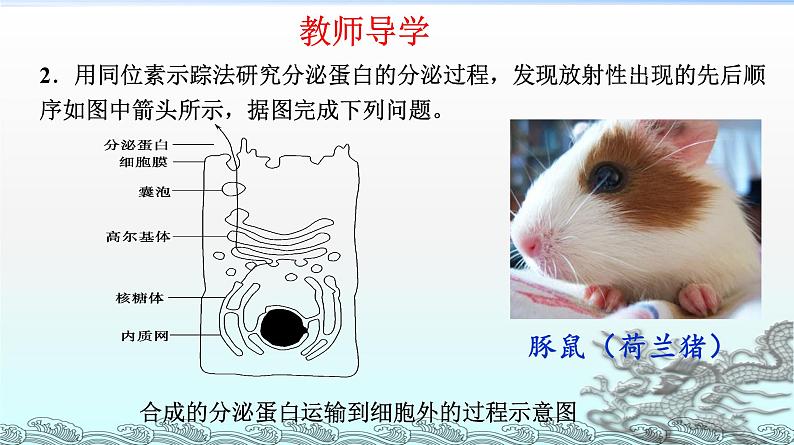 高中生物人教版 (新课标) 必修1课件  3.2 细胞器-系统内的分工合作（二）第7页