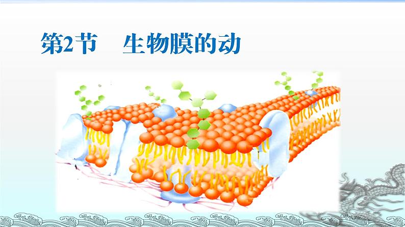 高中生物人教版 (新课标) 必修1课件  4.2 生物膜的流动镶嵌模型01