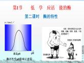 高中生物人教版 (新课标) 必修1课件  5.1降低化学反应活化能的酶（第二课时：酶的特性）